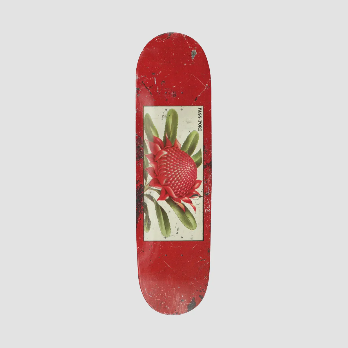 PASS-PORT Tin Floral Series Waratah Skateboard Deck Red - 7.875"