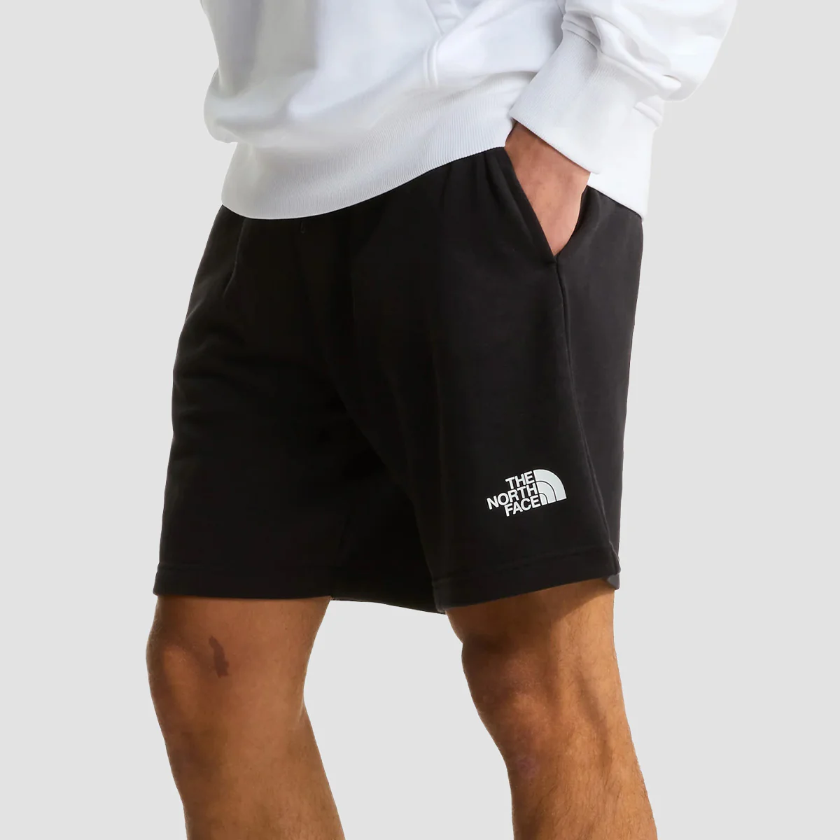 The North Face Simple Dome Light Regular Shorts TNF Black - Image 2